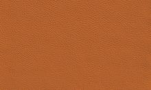 TEAM 7 cuir couleur cognac