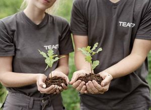 Planting seedlings in the TEAM 7 forest.