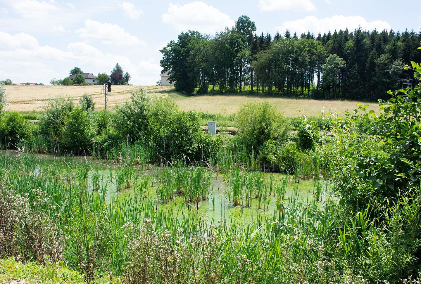 Pond at TEAM 7 in Pram.