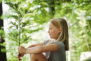 Filette avec un petit arbre