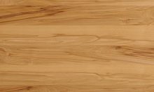 TEAM 7 wood type beech heartwood, wood with a lively and striking wood pattern