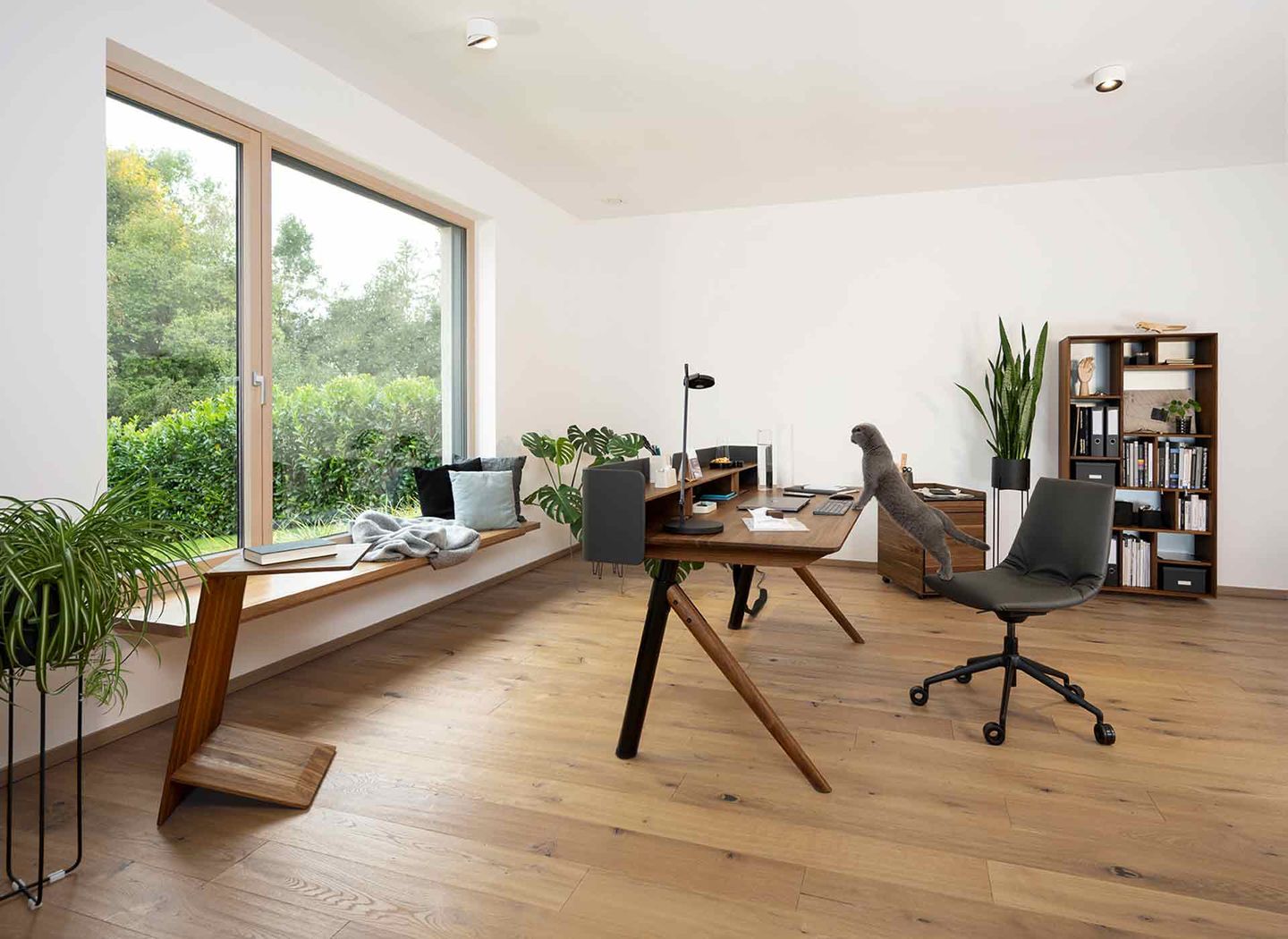 pisa desk in walnut with lui swivel chair