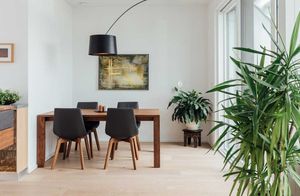 magnum Tisch mit lui Stühlen in Nussbaum von TEAM 7 Wien