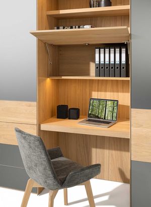 Inserto home office per l’armadio valore TEAM 7 in rovere bianco